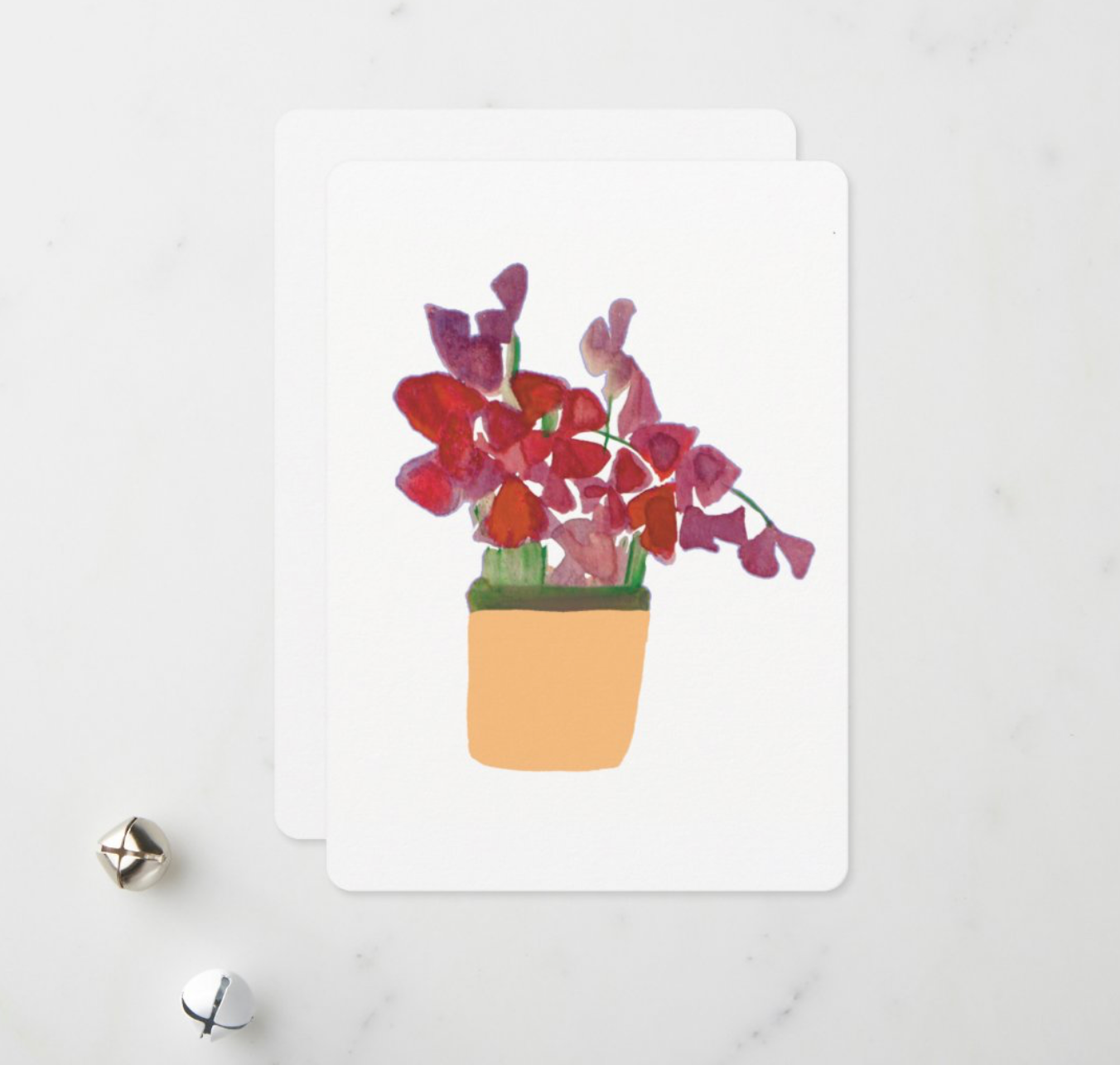 Oxalis