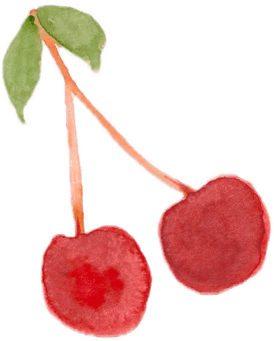 Illustration à l'aquarelle de deux cerises